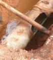城市污水管网受到腐蚀的主要原因是什么？