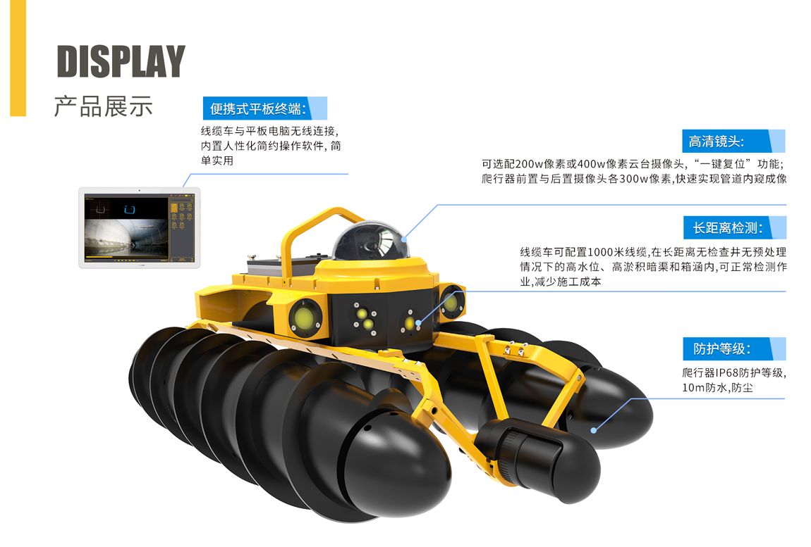 Gator-s1 (36).jpg